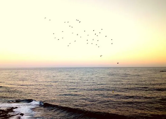 Salinetas Terraza Playa Lejlighed